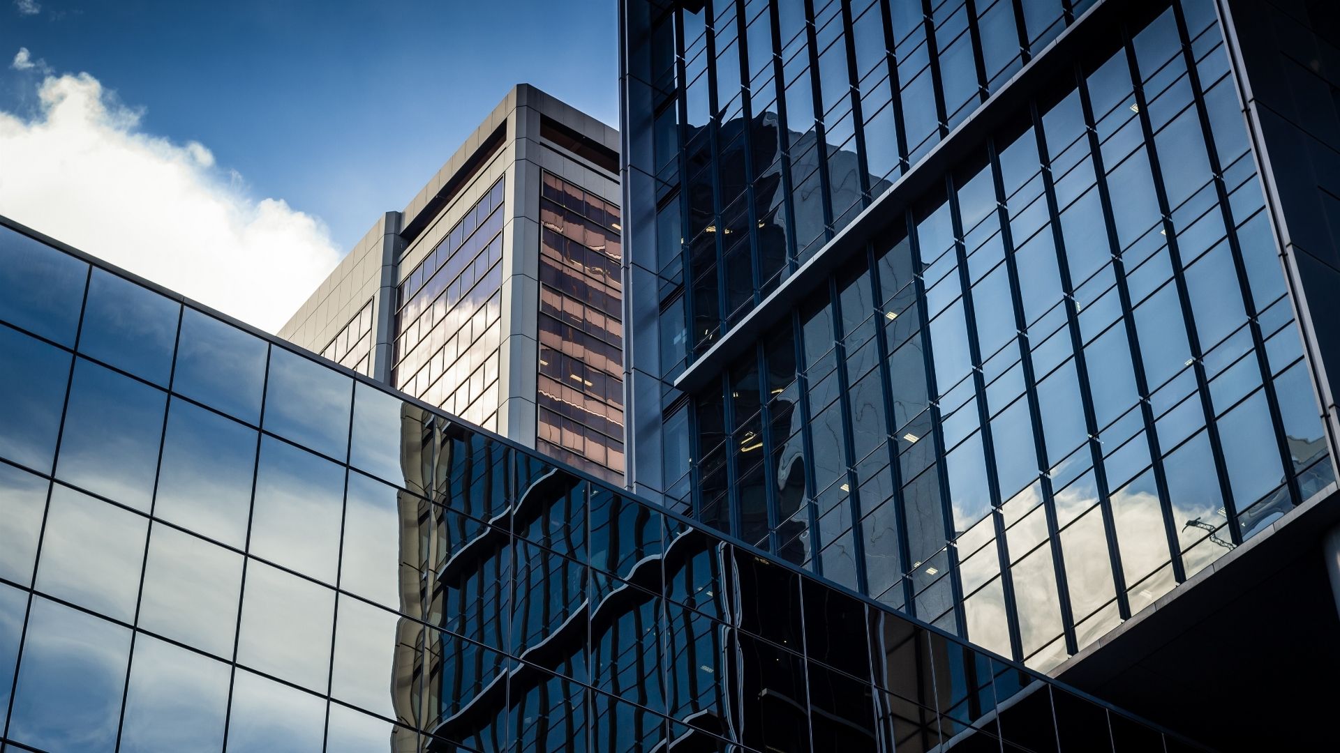 Licensed private investigator Sydney — Fortis Analytica